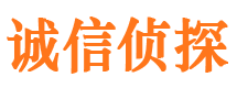 七星市调查公司